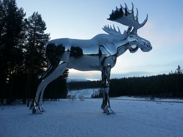 robikun