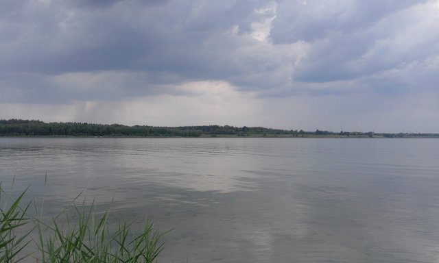 Malz55