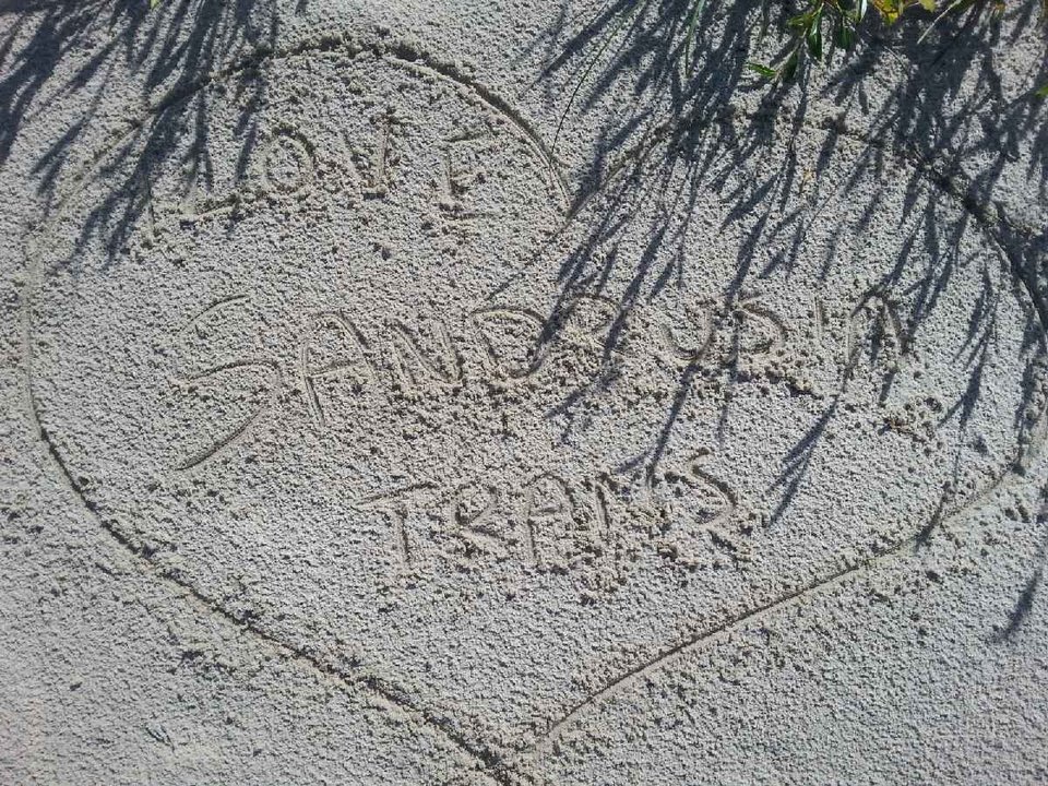 Love, love ;) - SandrusiaTrans