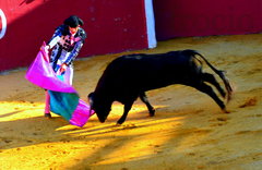 Ole! 3