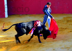 Ole! 4