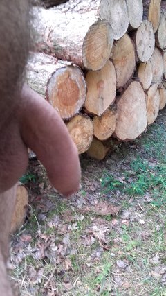 20160705_124123.jpg