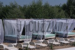 Baldachimy na klubowej plaży 1..JPG