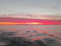 IMG_20160609_220057.jpg