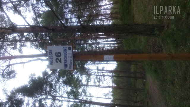 ilparka