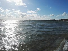 IMG_20160704_181136.jpg