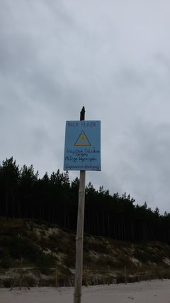 20160710_135723.jpg