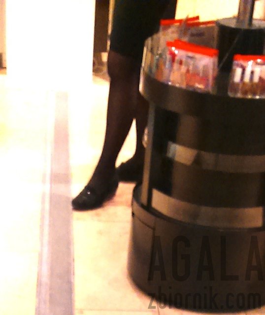 DSC_7631cz.jpg - AGALA