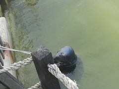 IMG_20160704_173844.jpg