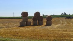 DSC_0188.JPG