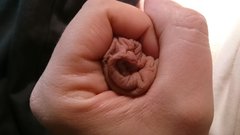 DSC_3114.JPG