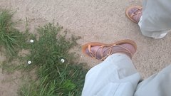 WP_20160710_010.jpg