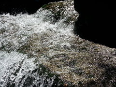 20160721_121139.jpg