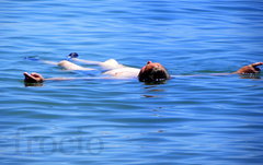 Pełen relaks.