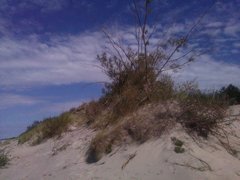 IMG_20160722_151613.jpg