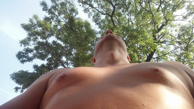 kurkis