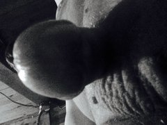 image.jpeg