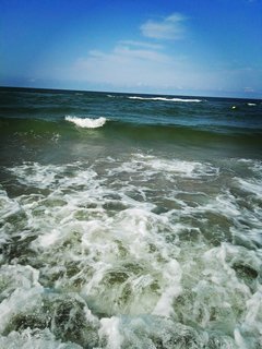 IMG_20160731_152307.jpg