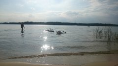DSC_2279.JPG