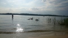 DSC_2280.JPG
