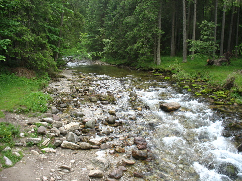 IMG_0057.JPG - nikifor751