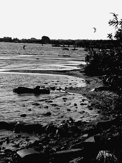 IMG_20160802_225608.jpg