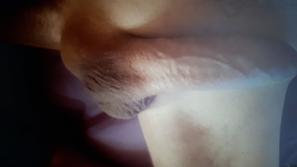 20160809_045421.jpg - cat434e