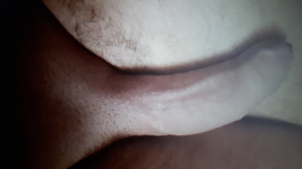 20160809_045332.jpg - cat434e
