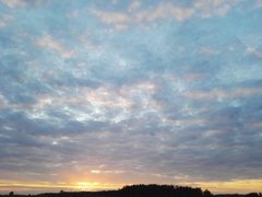 IMG_20160812_194739.jpg