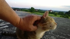 WP_20160702_050.jpg