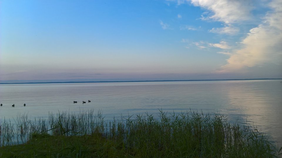 WP_20160822_19_32_57_Pro_LI.jpg - nero63