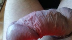 20160826_124954.jpg