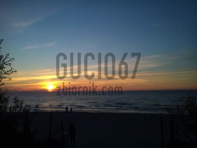 gucio67
