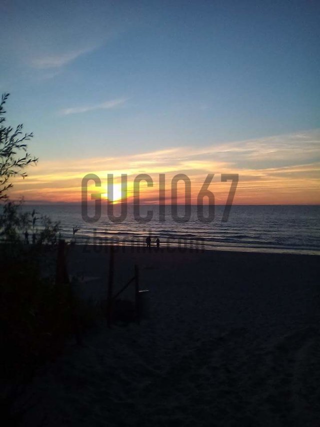 gucio67