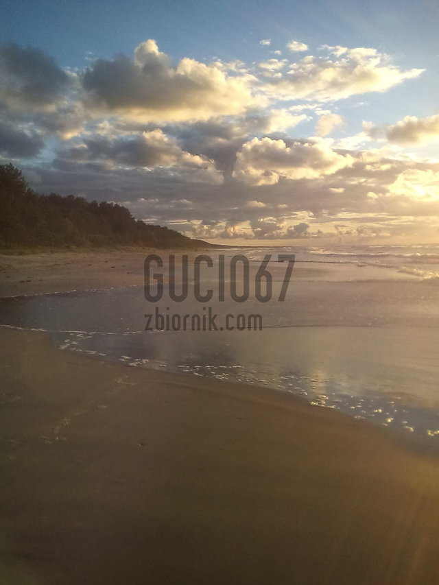 gucio67