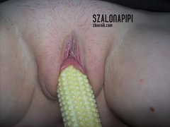 100_2650.JPG