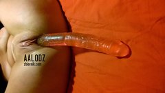 WP_20160901_057.jpg
