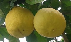 20160417_144313.jpeg