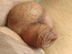 IMG_20160904_065341.jpg