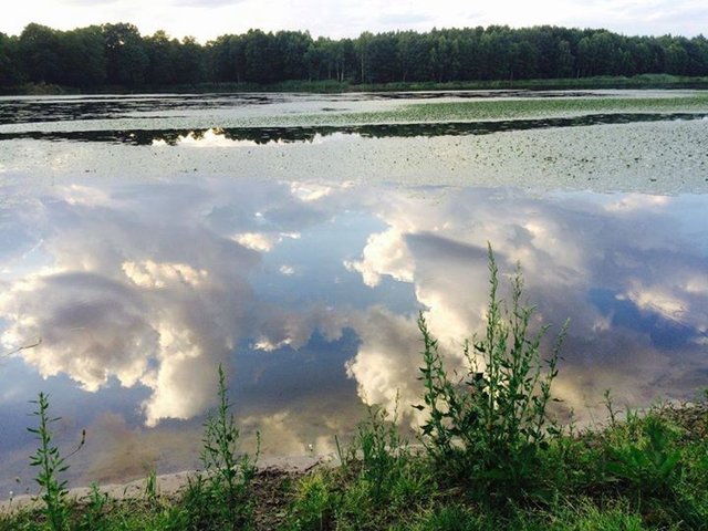 IMG_3215473070617.jpeg - realistka23