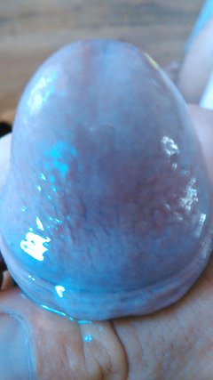 IMG_20160907_083737.jpg