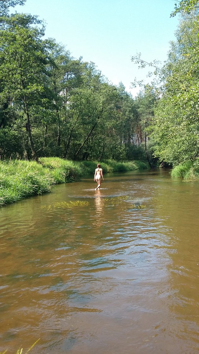 emvu77