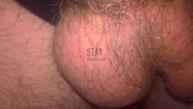 stay