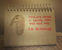 IMG_20160815_042147.jpg