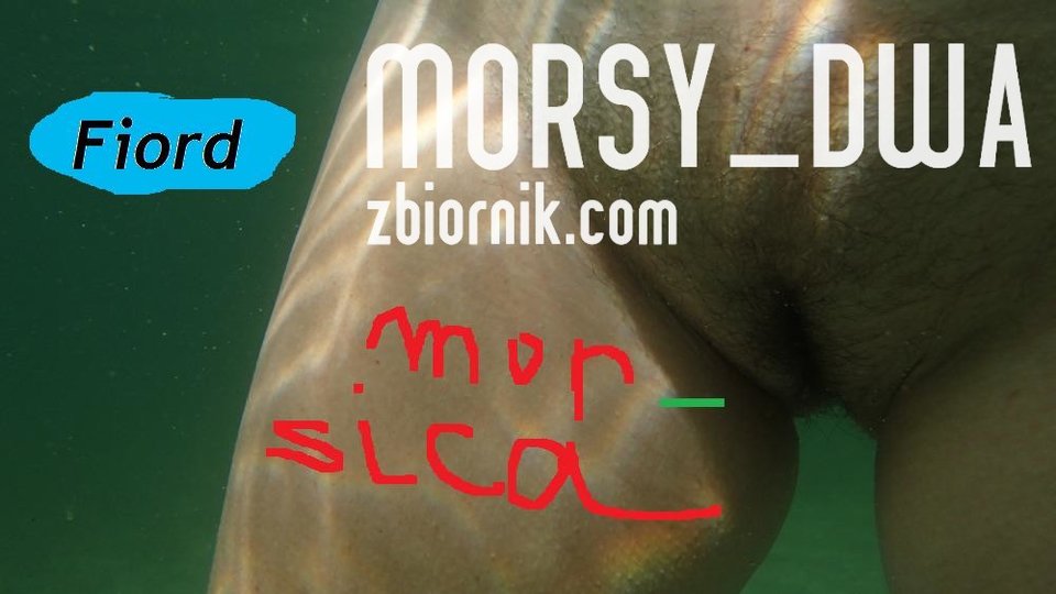 Cipka. - Morsy_dwa