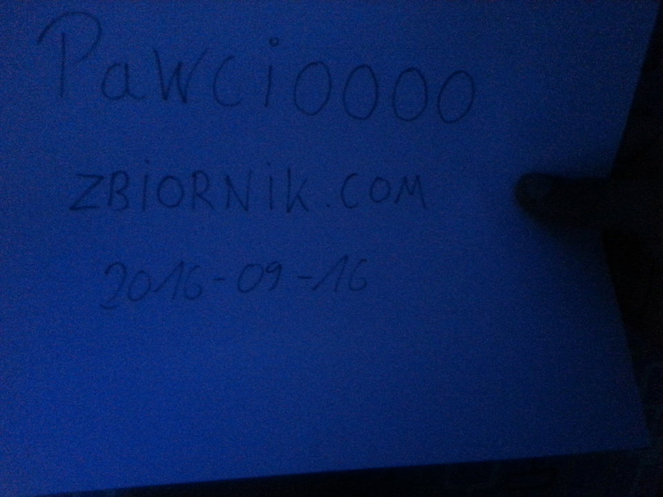 20160916_085842.jpg - Pawcioooo