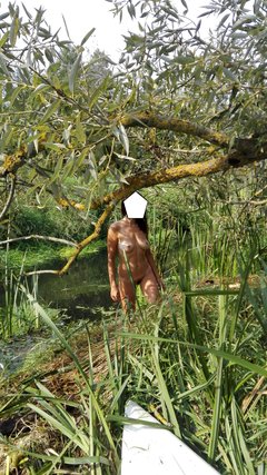 IMG_20160917_142646.jpg