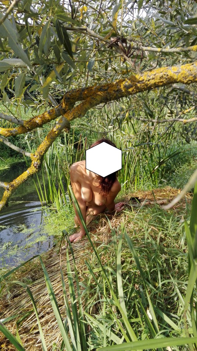 emvu77