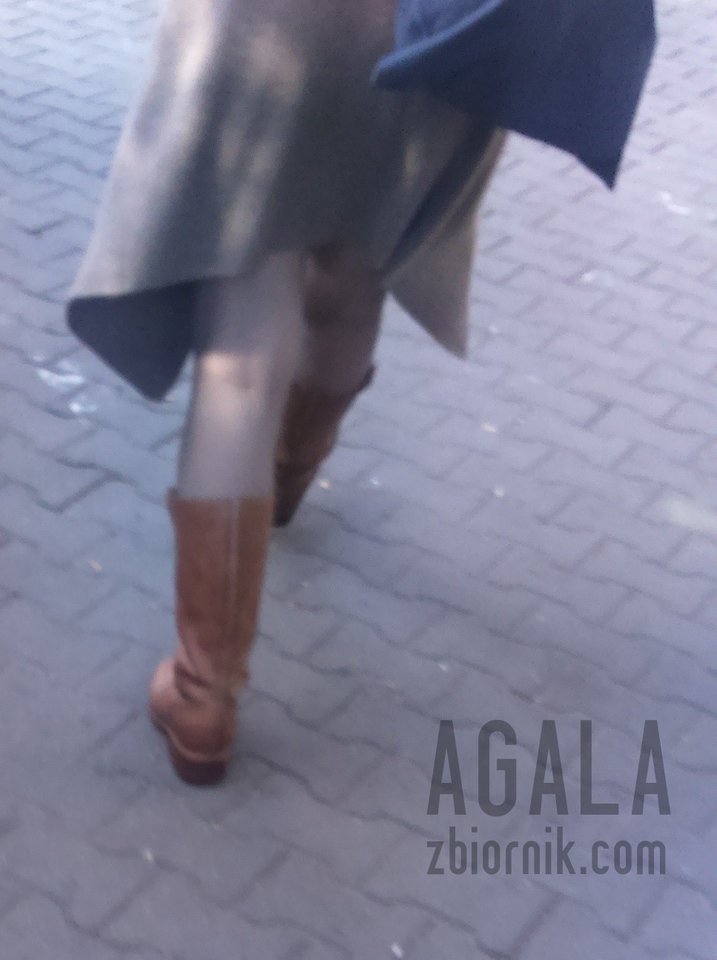 DSC_8278v.jpg - AGALA