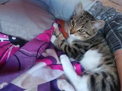 IMG_20160923_081723.jpg